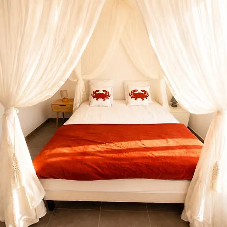 Oceane & Jacuzzi Et Piscine Chauffee